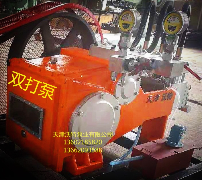 双打泵主机带名称电话.jpg